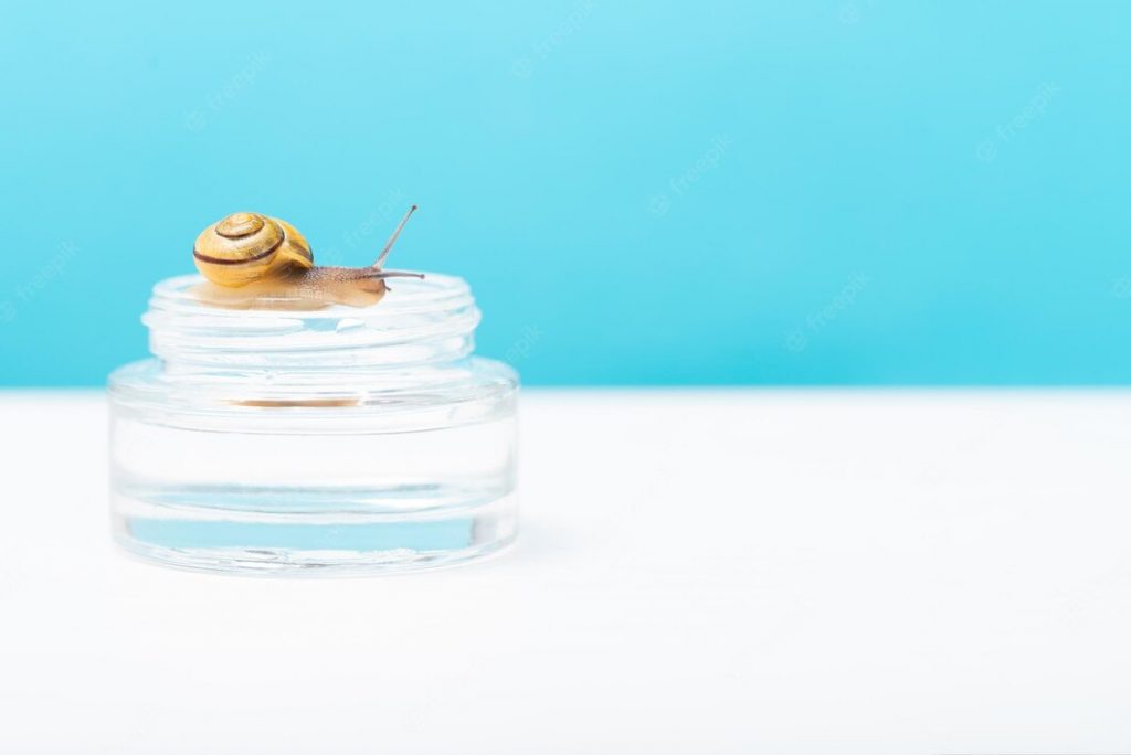 What Is Snail Mucin Everything You Should Know Before Using It!